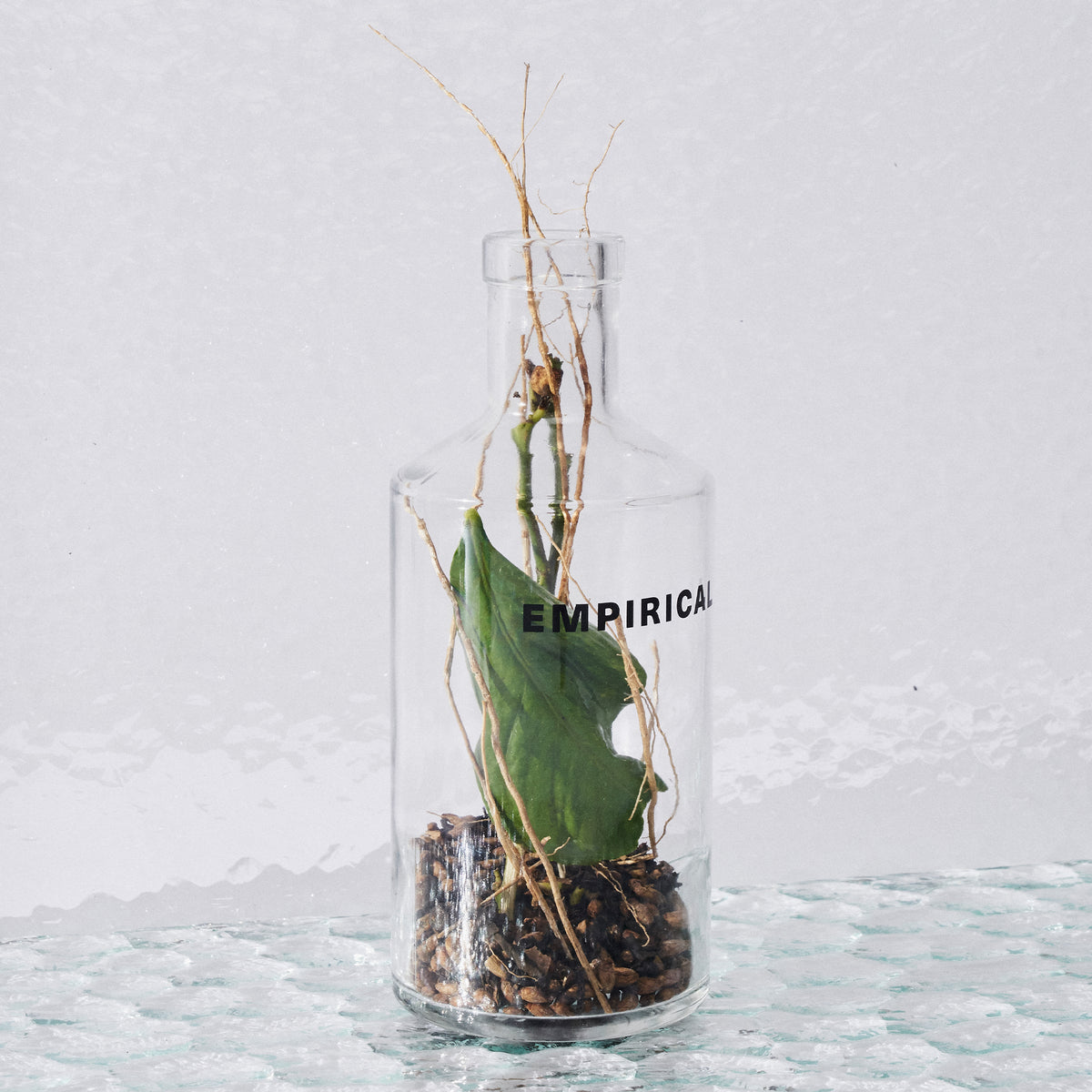 Empirical bottle holding fig leaf and coffee beans — Symphony 6 botanicals display