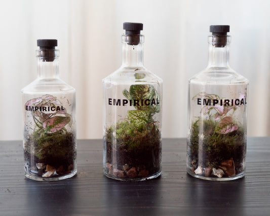 How-To Upcycle your EMPIRICAL bottles