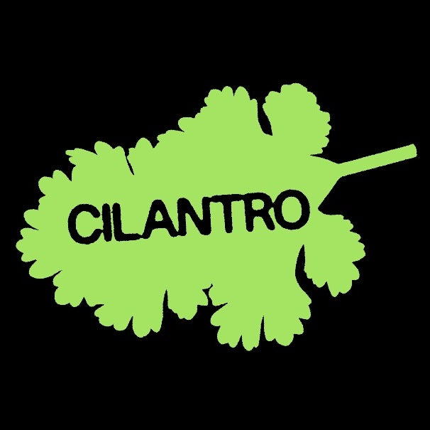 Cilantro