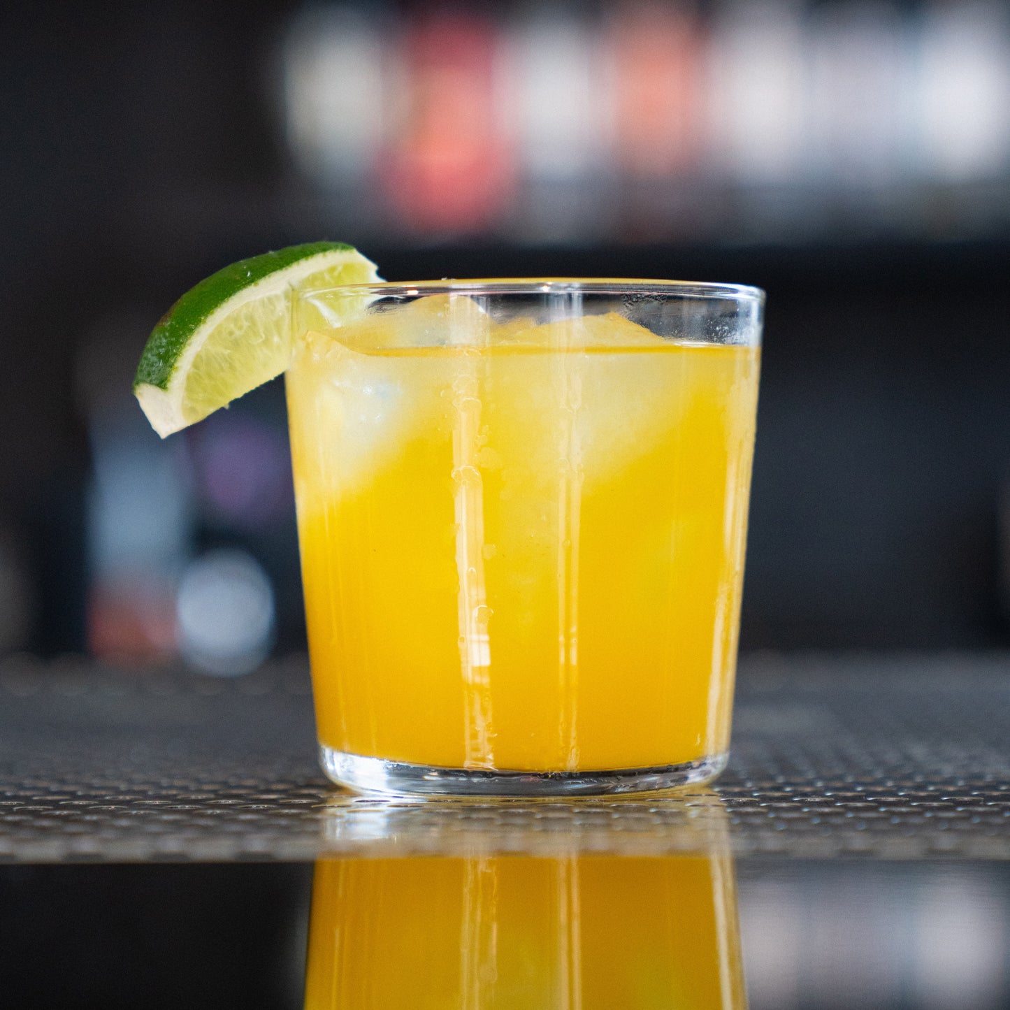 Cilantro & Mango Bundle