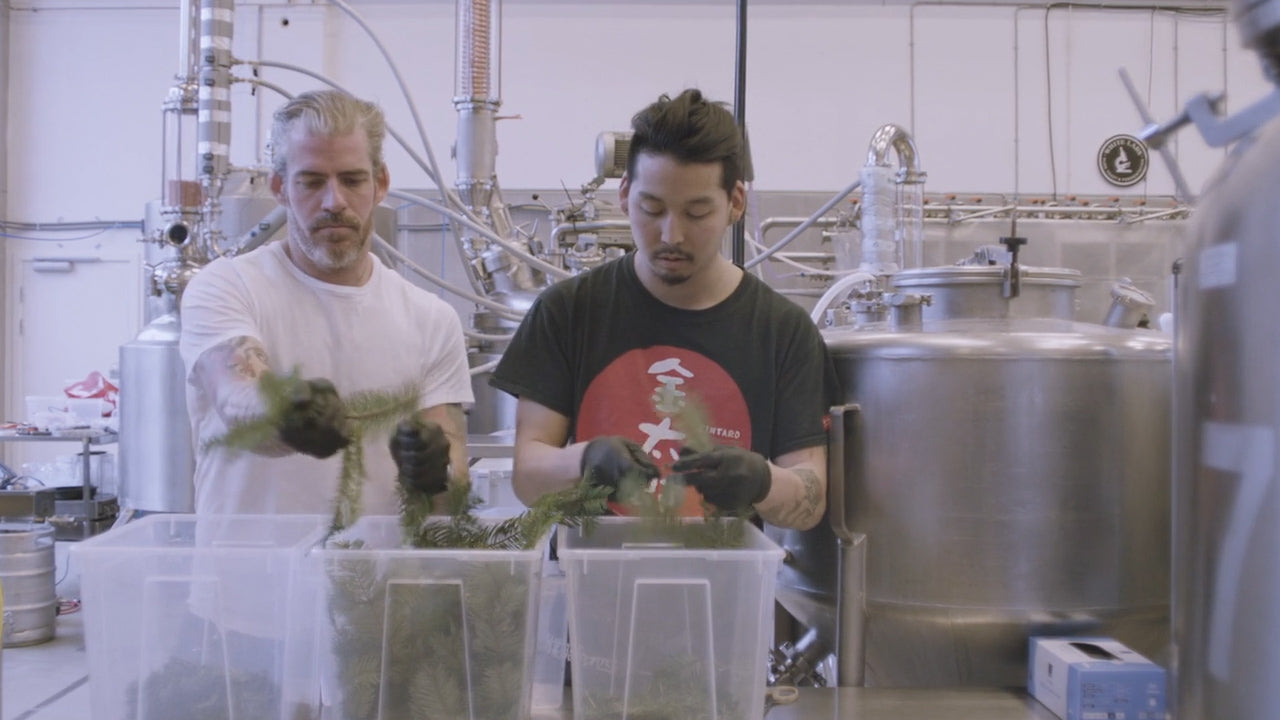 Load video: The Danish Distillery Making Spirits out of Fir Trees and Chicken Skin