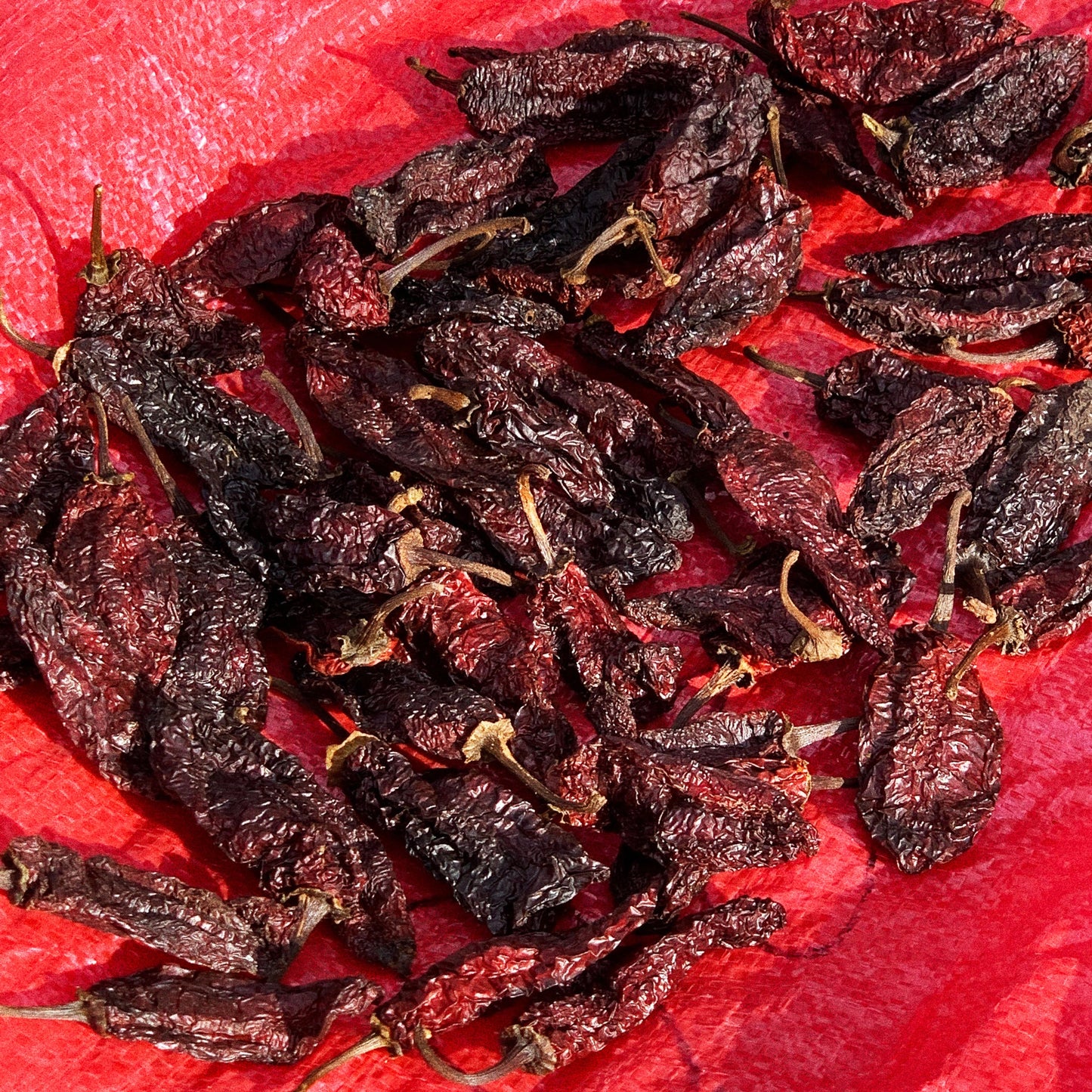 Red Bag Old Fashioned Bundle