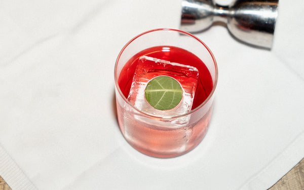 Symphony 6 Negroni