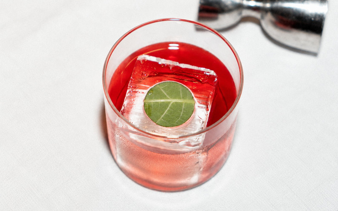 Symphony 6 Negroni
