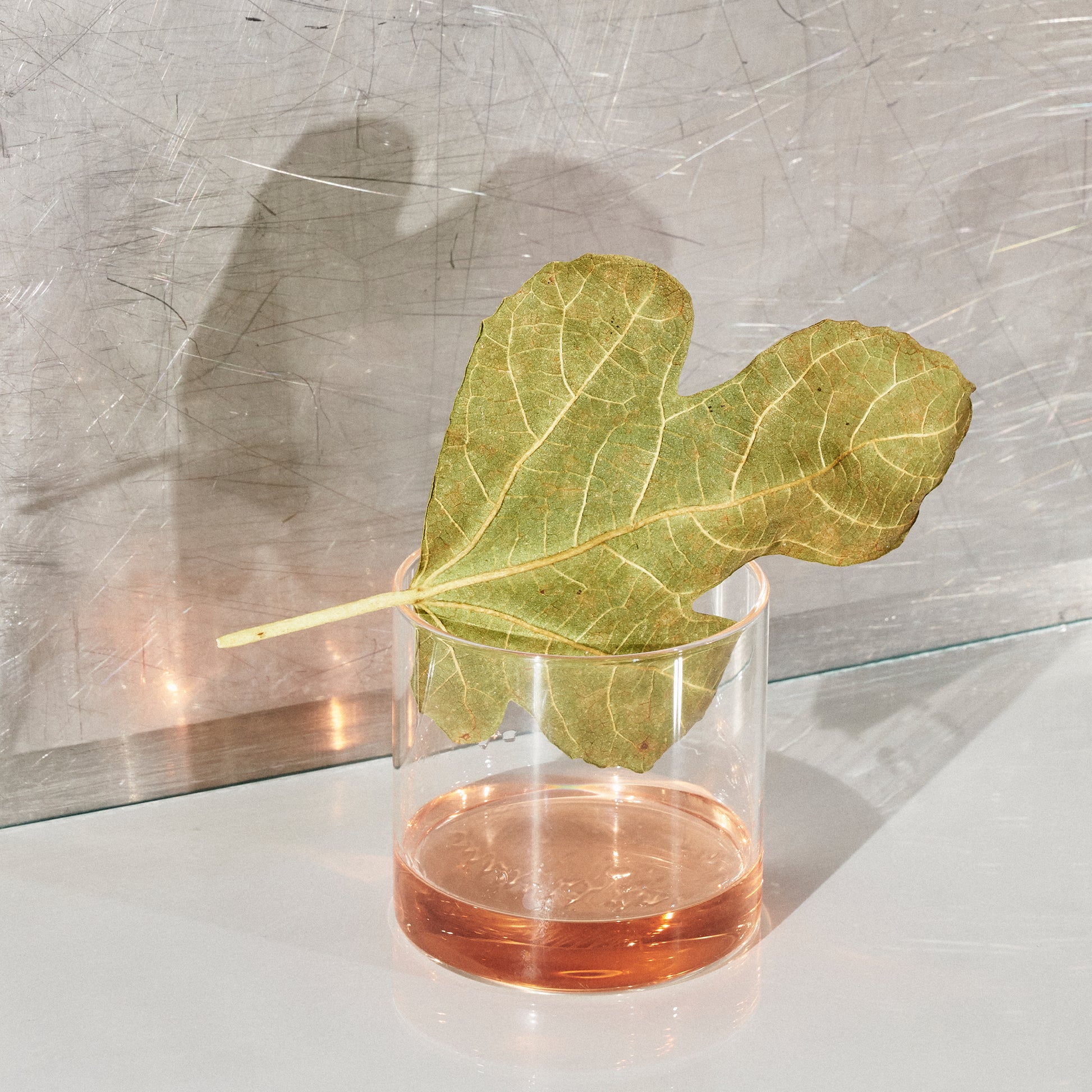 The Six & Tonic Bundle